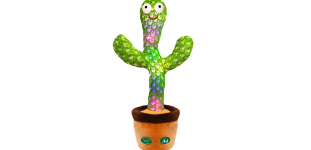 Talking Cactus